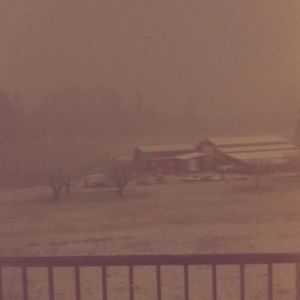 Meet your Posher, Molinda